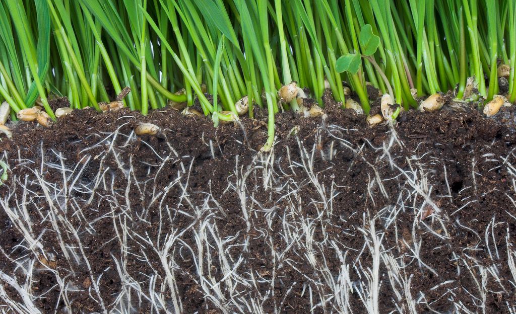 1565054987877977.jpg 8840_144438262082_2.jpg