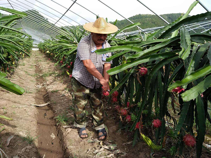 1565924289456438.jpg timg (14).jpg