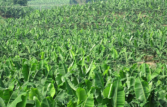 1565926482112549.jpg timg (2).jpg