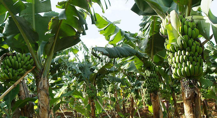 1565926490101490.jpg timg (3).jpg