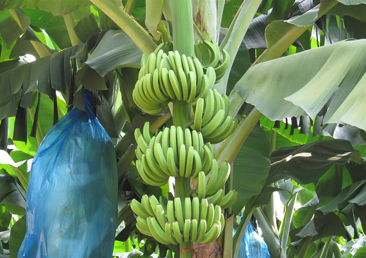 1565926502639237.jpg timg (4).jpg