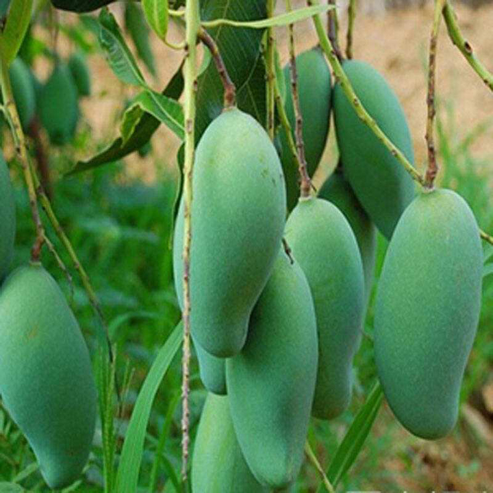 1565927962112463.jpg timg (1).jpg