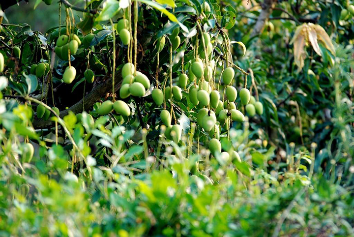 1565928069844929.jpg timg (5).jpg