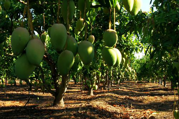 1565928082637946.jpg 5.jpg