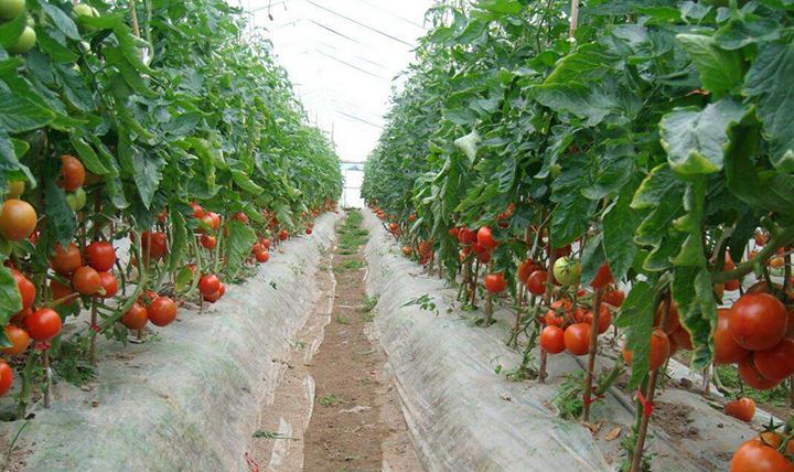 1565941129120183.jpg timg (2).jpg