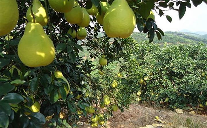 1565943140495898.jpg 圖片1.jpg