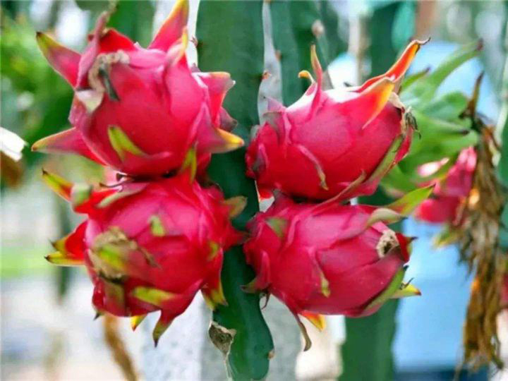 1566295312635235.jpg timg (16).jpg