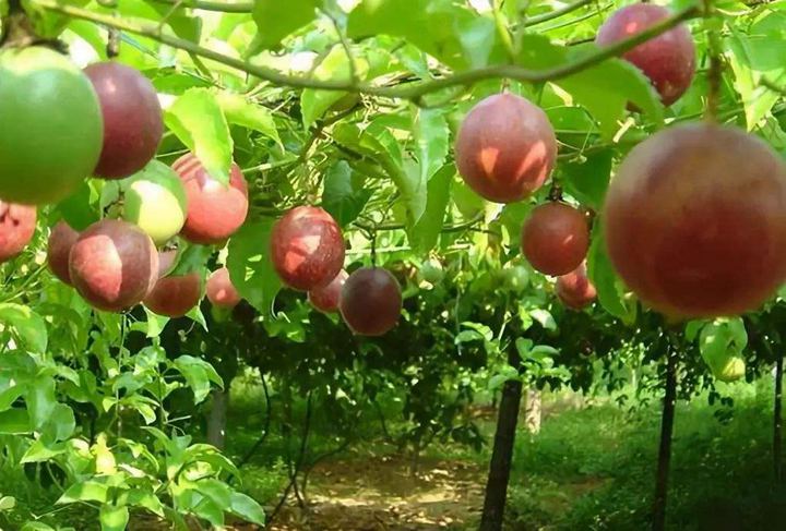 1566295346133174.jpg timg (17).jpg