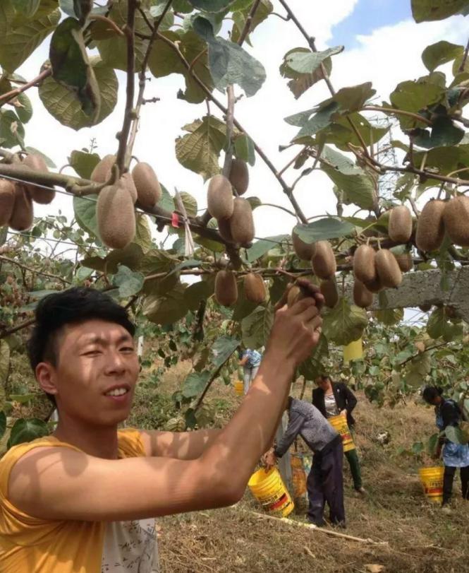 1570760980578347.jpg 圖片4.jpg