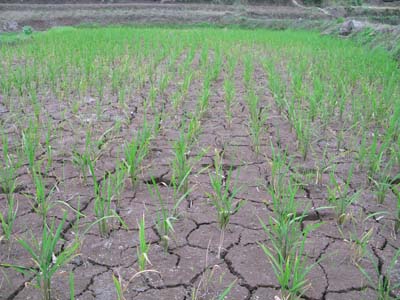 1571640545475372.jpg 2015103011015921594.jpg