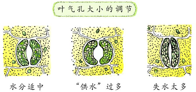 1571736472780123.jpg 圖片2.jpg