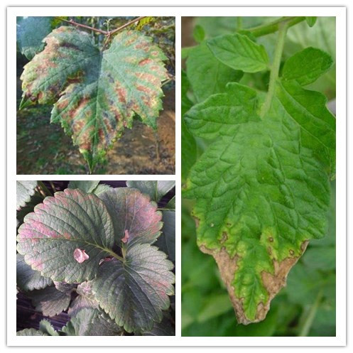 1571736538139960.jpg 圖片4.jpg