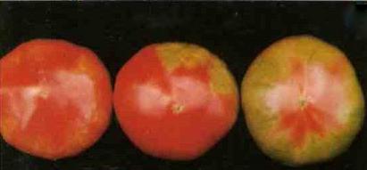 1571736545531442.jpg 圖片5.jpg