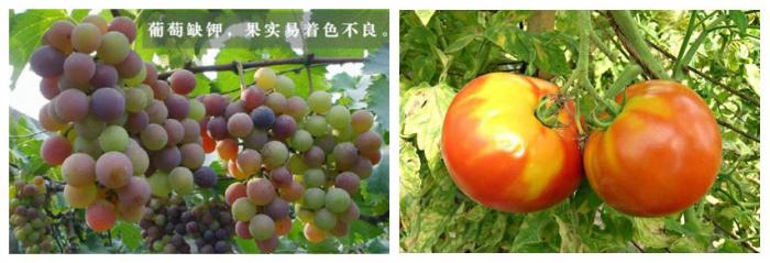 1571736552139943.jpg 圖片6.jpg