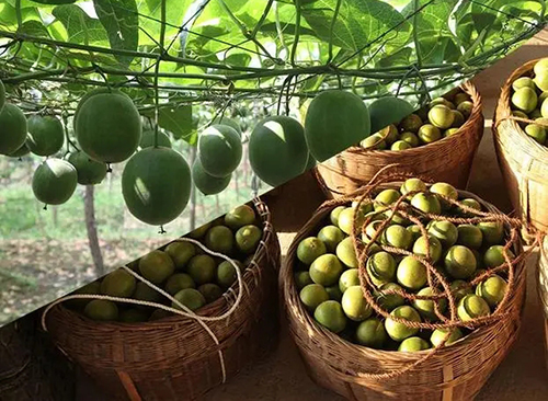 1660371930247355.jpg 1645689684117576.jpg