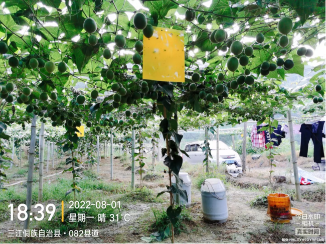 1660372040660547.png image.png