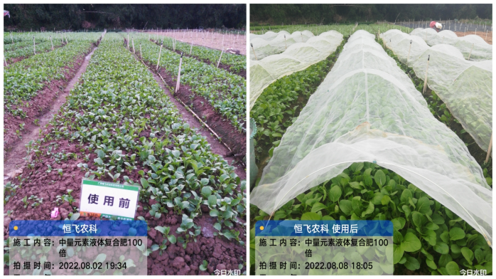 1660532935303073.png image.png