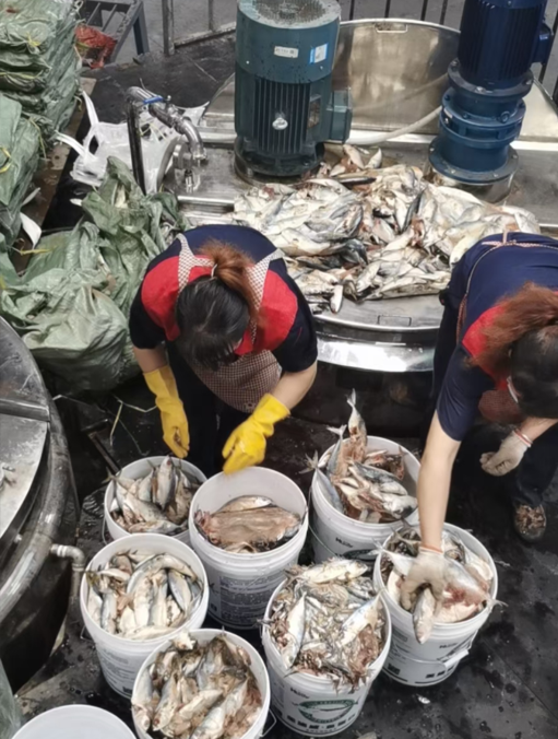 1750648641759356.png b7f8a6764bf42dcebc5ea93d8bb5609.png